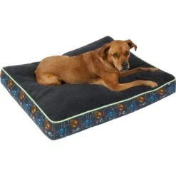 STAR WARS THE MANDALORIAN GROGU Pillow Cat & Dog Bed -Blue Buffalos Shop 222217 PT2. AC SS1800 V1611758234