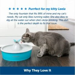 PetSafe Drinkwell Butterfly Dog & Cat Drinking Fountain, 50-oz -Blue Buffalos Shop 222223 PT5. AC SS1800 V1676398887