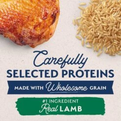 Natural Balance Limited Ingredient Lamb & Brown Rice Puppy Recipe Dry Dog Food -Blue Buffalos Shop 222285 PT2. AC SS1800 V1677017717