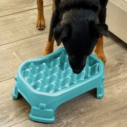 Neater Pets Adjustable Non-Skid Plastic Slow Feeder Dog & Cat Bowl -Blue Buffalos Shop 224731 pt7. AC SS1800 V1583446149