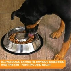 Neater Pets Non-Skid Non-Tip Stainless Steel Slow Feeder Dog Bowl -Blue Buffalos Shop 224737 PT6. AC SS1800 V1631143281
