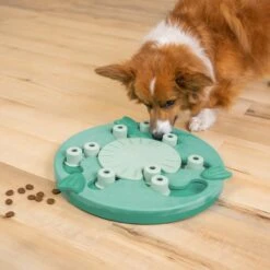 Nina Ottosson By Outward Hound Dog Worker Green Interactive Treat Puzzle Dog Toy -Blue Buffalos Shop 226722 PT4. AC SS1800 V1694286039