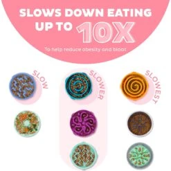 Outward Hound Non-Skid Plastic Slow Feeder Wave Dog Bowl 12 Outward Hound Non-Skid Plastic Slow Feeder Wave Dog Bowl -Blue Buffalos Shop 226749 PT1. AC SS1800 V1694440100