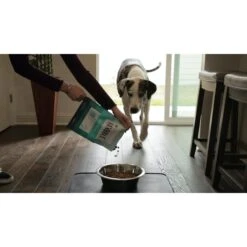BIXBI RAWBBLE Fresh Pork Recipe Limited Ingredient Grain-Free Dry Dog Food 13 BIXBI RAWBBLE Fresh Pork Recipe Limited Ingredient Grain-Free Dry Dog Food -Blue Buffalos Shop 228748 PT5. AC SS1800 V1607037438