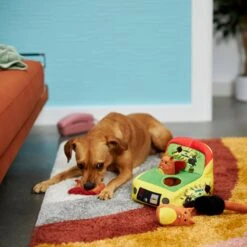 Frisco Retro Smack-a-Squirrel Hide & Seek Puzzle Plush Squeaky Dog Toy -Blue Buffalos Shop 230313 PT3. AC SS1800 V1601947334