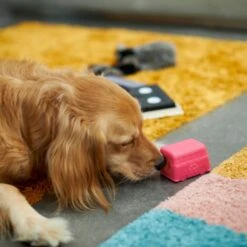 Frisco Retro Funky Van TPE Treat Dispenser Dog Toy, Medium/Large -Blue Buffalos Shop 230383 PT4. AC SS1800 V1669908614