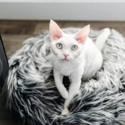 Mau Lifestyle Fluffi Donut Dog & Cat Bed -Blue Buffalos Shop 230606 PT2. AC SS1800 V1603410116