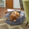 Frisco Velvet Round Bolster Dog Bed W/Removable Cover -Blue Buffalos Shop 232178 MAIN. AC SS1800 V1602013291