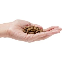 Dr. Pol Healthy Balance Salmon Recipe Grain-Free Dry Dog Food -Blue Buffalos Shop 232536 PT2. AC SS1800 V1682711638