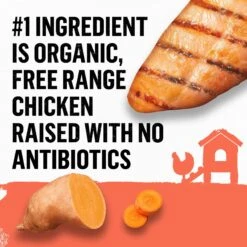 Purina Beyond Organic Chicken & Sweet Potato Recipe Wet Dog Food, 13-oz Can, Case Of 12 -Blue Buffalos Shop 233687 PT3. AC SS1800 V1700162080