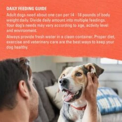 Purina Beyond Organic Chicken & Sweet Potato Recipe Wet Dog Food, 13-oz Can, Case Of 12 -Blue Buffalos Shop 233687 PT8. AC SS1800 V1700158640