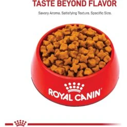 Royal Canin Breed Health Nutrition German Shepherd Adult 5+ Dry Dog Food -Blue Buffalos Shop 234009 PT1. AC SS1800 V1695158728