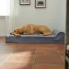 Frisco Orthopedic Chaise Pillow Dog Bed W/Removable Cover -Blue Buffalos Shop 235032 MAIN. AC SS1800 V1602013296