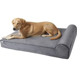 Frisco Orthopedic Chaise Pillow Dog Bed W/Removable Cover -Blue Buffalos Shop 235032 PT2. AC SS1800 V1600479659