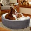 Frisco Bolster Cat & Dog Bed -Blue Buffalos Shop 235034 MAIN. AC SS1800 V1602690455