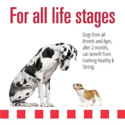 Livelong Healthy & Strong Lamb, Beef & Sweet Potato Recipe Wet Dog Food, 12.5-oz Can, Case Of 12 -Blue Buffalos Shop 235064 PT3. AC SS1800 V1589915475
