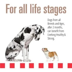 Livelong Healthy & Strong Pork & Sweet Potato Recipe Wet Dog Food, 12.5-oz Can, Case Of 12 -Blue Buffalos Shop 235072 PT3. AC SS1800 V1589915496