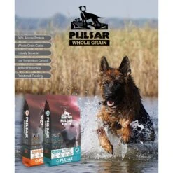 Horizon Pulsar Whole Grain Pork Recipe Dry Dog Food 14 Horizon Pulsar Whole Grain Pork Recipe Dry Dog Food -Blue Buffalos Shop 235342 PT3. AC SS1800 V1607995364