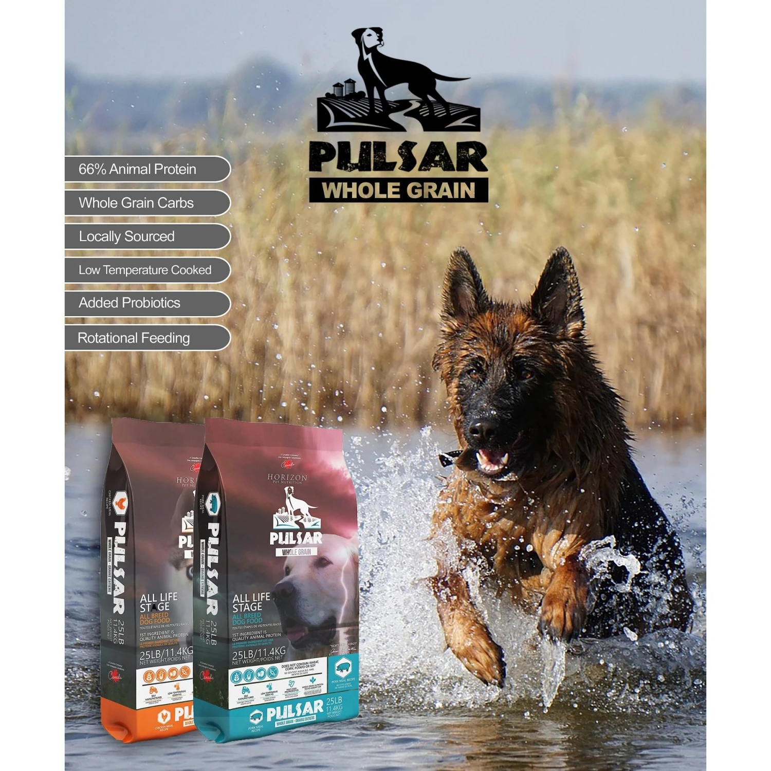 Horizon Pulsar Whole Grain Pork Recipe Dry Dog Food 6 Horizon Pulsar Whole Grain Pork Recipe Dry Dog Food - Image 4