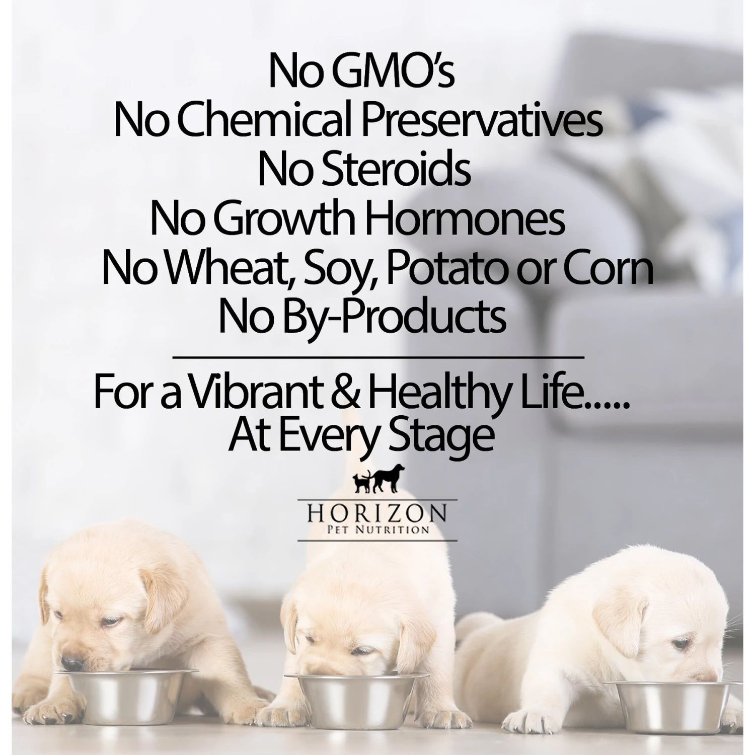 Horizon Pulsar Whole Grain Pork Recipe Dry Dog Food 9 Horizon Pulsar Whole Grain Pork Recipe Dry Dog Food - Image 7