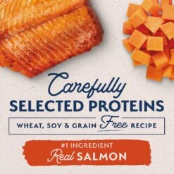 Natural Balance Limited Ingredient Grain-Free Salmon & Sweet Potato Recipe Dry Dog Food -Blue Buffalos Shop 237945 PT3. AC SS1800 V1652125118