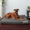 FurHaven Deluxe Oxford Orthopedic Indoor/Outdoor Dog & Cat Bed With Removable Cover -Blue Buffalos Shop 238773 MAIN. AC SS1800 V1606317115