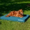 FurHaven Deluxe Oxford Cooling Gel Indoor/Outdoor Dog & Cat Bed With Removable Cover -Blue Buffalos Shop 238827 MAIN. AC SS1800 V1627609611