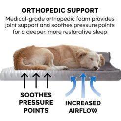 FurHaven Plush Deluxe Chaise Orthopedic Cat & Dog Bed With Removable Cover -Blue Buffalos Shop 242784 PT5. AC SS1800 V1703799942