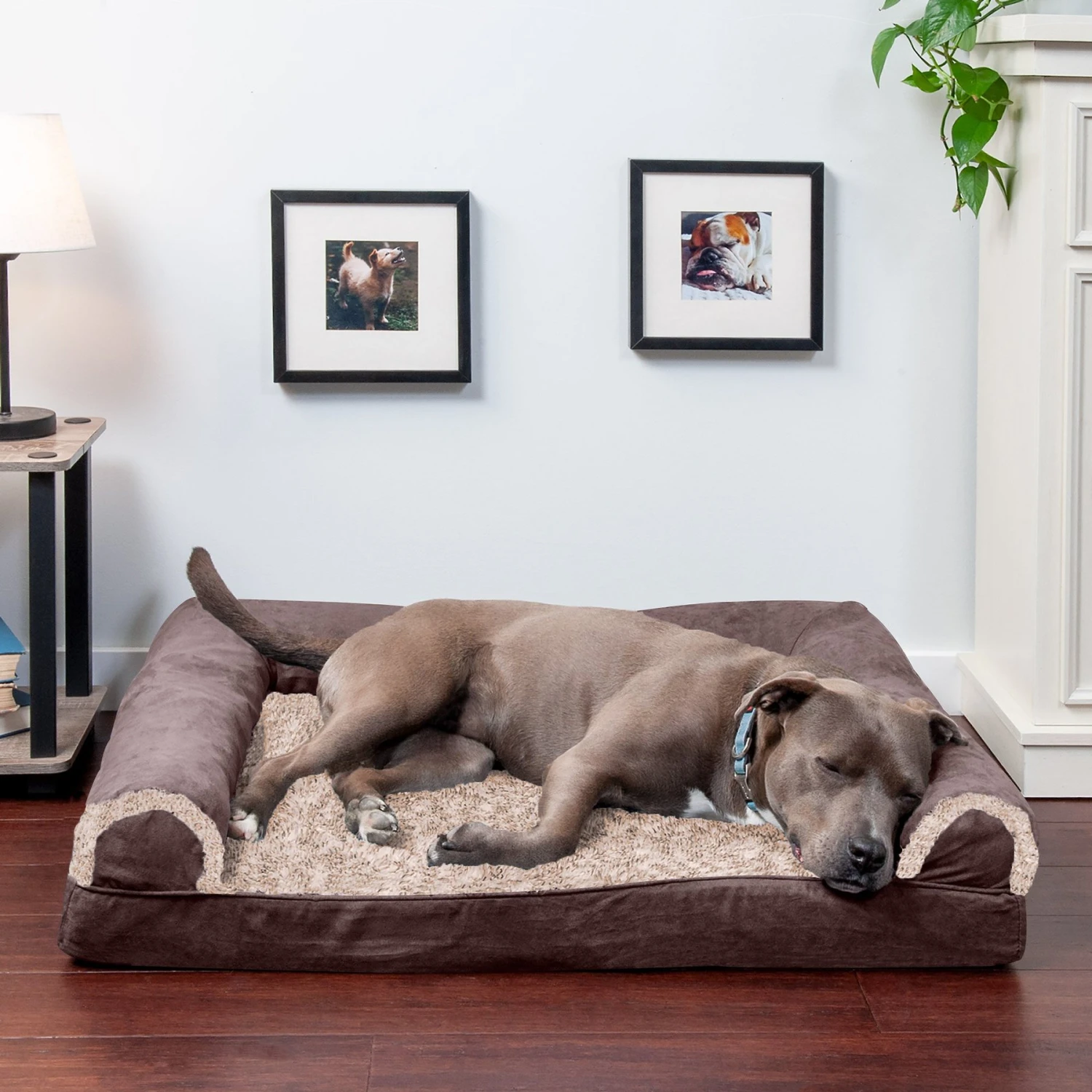 FurHaven Faux Fur & Suede Orthopedic Sofa Dog & Cat Bed 3 FurHaven Faux Fur & Suede Orthopedic Sofa Dog & Cat Bed