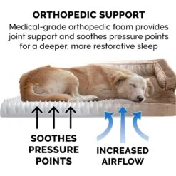 FurHaven Plush & Velvet Orthopedic Comfy Couch Dog & Cat Bed -Blue Buffalos Shop 244395 PT7. AC SS1800 V1669921815