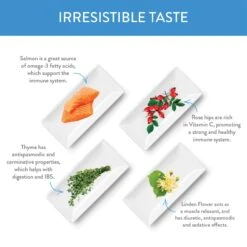 Forza10 Nutraceutic Legend Puppy Icelandic Salmon & Lamb Recipe Grain-Free Canned Dog Food -Blue Buffalos Shop 245092 PT4. AC SS1800 V1597880513