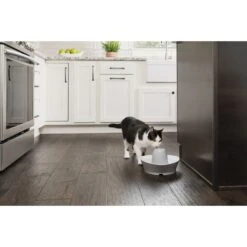 PetSafe Creekside Quiet Dog & Cat Fountain, 60-oz 16 PetSafe Creekside Quiet Dog & Cat Fountain, 60-oz -Blue Buffalos Shop 247077 PT6. AC SS1800 V1596740182