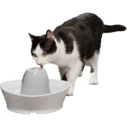 PetSafe Creekside Quiet Dog & Cat Fountain, 60-oz 17 PetSafe Creekside Quiet Dog & Cat Fountain, 60-oz -Blue Buffalos Shop 247077 PT7. AC SS1800 V1608081821