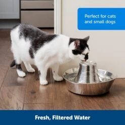 PetSafe Seaside Stainless Steel Cat Water Fountain, 60-oz -Blue Buffalos Shop 247079 PT6. AC SS1800 V1663966968