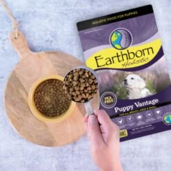Earthborn Holistic Puppy Vantage Dry Dog Food 14 Earthborn Holistic Puppy Vantage Dry Dog Food -Blue Buffalos Shop 247175 PT3. AC SS1800 V1612400177