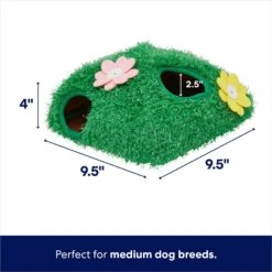 Frisco Spring Bunny Burrow Hide & Seek Plush Squeaky Dog Toy -Blue Buffalos Shop 248039 PT1. AC SS1800 V1700243717