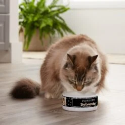 Frisco "Paws Off" Ceramic Personalized Dog & Cat Bowl -Blue Buffalos Shop 250829 PT3. AC SS1800 V1610767170