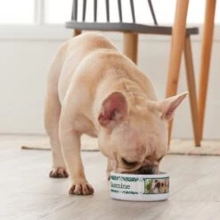 Frisco Boho Damask Ceramic Personalized Dog & Cat Bowl -Blue Buffalos Shop 250833 PT3. AC SS1800 V1610758070