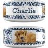 Frisco Boho Damask Ceramic Personalized Dog Bowl 1 Frisco Boho Damask Ceramic Personalized Dog Bowl -Blue Buffalos Shop 250835 MAIN. AC SS1800 V1602632496