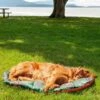 FurHaven Trail Pup Packable Stuff Sack Travel Pillow Dog Bed -Blue Buffalos Shop 250947 MAIN. AC SS1800 V1619655445