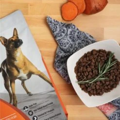 Nulo Freestyle Grain-Free Turkey & Sweet Potato Recipe Dry Dog Food 13 Nulo Freestyle Grain-Free Turkey & Sweet Potato Recipe Dry Dog Food -Blue Buffalos Shop 251406 PT2. AC SS1800 V1667948668