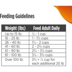 Nulo Freestyle Grain-Free Turkey & Sweet Potato Recipe Dry Dog Food 19 Nulo Freestyle Grain-Free Turkey & Sweet Potato Recipe Dry Dog Food -Blue Buffalos Shop 251406 PT8. AC SS1800 V1667863732