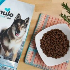 Nulo Freestyle Limited+ Salmon Recipe Grain-Free Puppy & Adult Dry Dog Food -Blue Buffalos Shop 251418 PT2. AC SS1800 V1667863661
