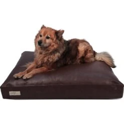 B&G Martin Faux Leather Poly Fill Cushion Insert Dog & Cat Bed -Blue Buffalos Shop 252285 PT3. AC SS1800 V1603729332