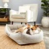 Frisco Rectangular Personalized Bolster Dog Bed W/Removable Cover, Beige, X-Large -Blue Buffalos Shop 252615 MAIN. AC SS1800 V1604499115