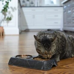 Frisco Copper Stainless Steel Double Dog & Cat Bowls With Black Marble Stand -Blue Buffalos Shop 253058 PT2. AC SS1800 V1616594213