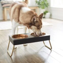 Frisco Copper Stainless Steel Elevated Foldable Double Dog & Cat Bowls -Blue Buffalos Shop 253060 PT2. AC SS1800 V1616594243