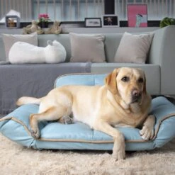 K1 Pet Design Stark Sofa Dog Bed -Blue Buffalos Shop 254149 PT6. AC SS1800 V1602723974