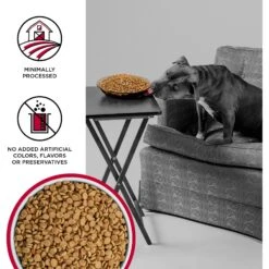 BIXBI Liberty Beef Recipe Grain-Free Dry Dog Food -Blue Buffalos Shop 254787 PT2. AC SS1800 V1668200006