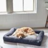 Frisco Faux Felt Orthopedic Rectangular Bolster Dog Bed W/Removable Cover -Blue Buffalos Shop 255177 MAIN. AC SS1800 V1616013126